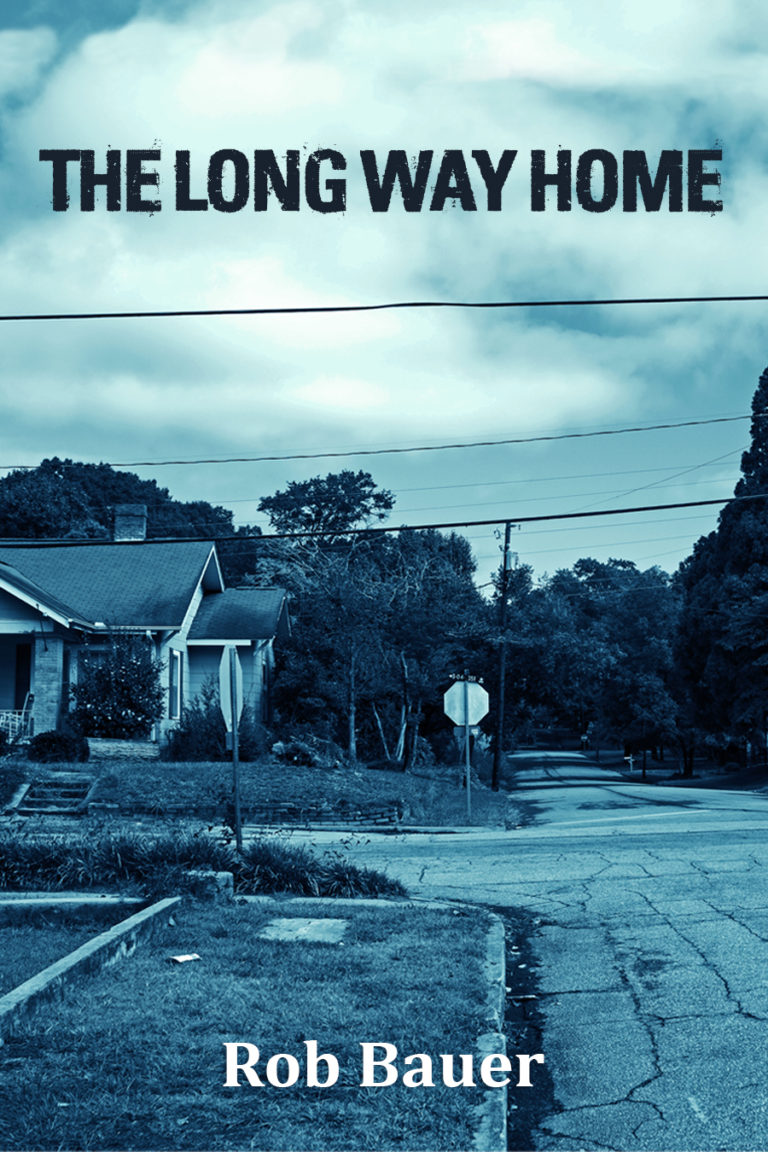 novel a long way home